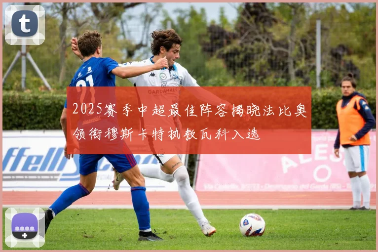 2025赛季中超最佳阵容揭晓法比奥领衔穆斯卡特执教瓦科入选
