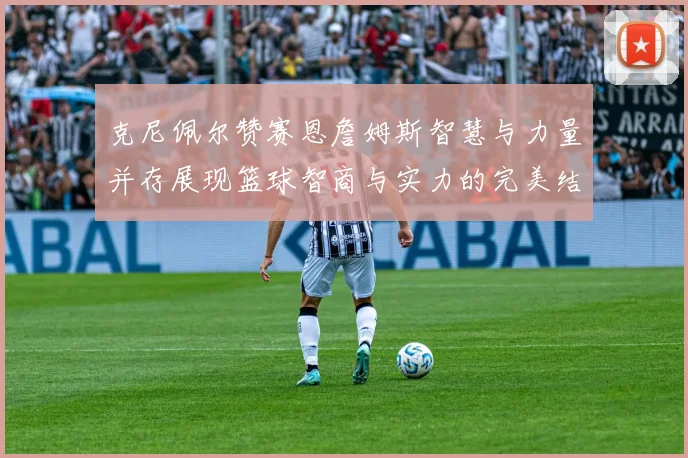 克尼佩尔赞赛恩詹姆斯智慧与力量并存展现篮球智商与实力的完美结合