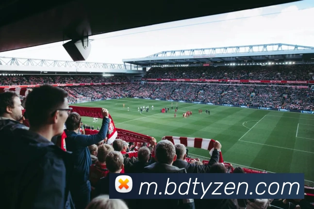 半岛体育服务体系